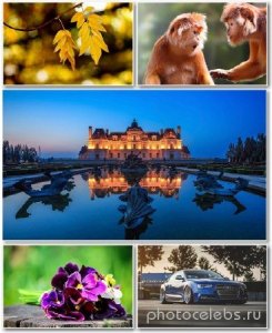  Best HD Wallpapers Pack 1363 
