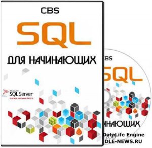 SQL   (2013)  