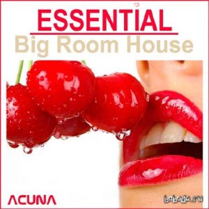  Essential Big Room House (2014) 