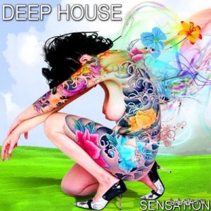  Deep House Sensation (2014) 
