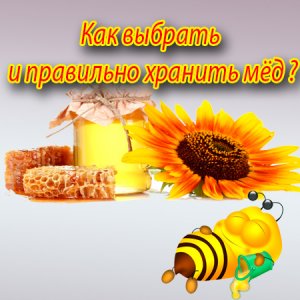  Как выбрать и правильно хранить мёд (2014) WebRip 