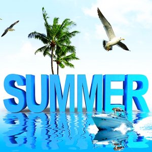  Promo DJ Top 100 Remixes Summer (2015) 