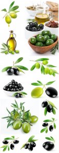  Black olives and olive oil - Stock photo 