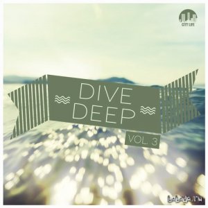  Dive Deep, Vol. 3 (2016) 