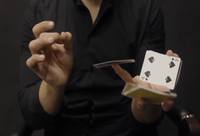  Карточные фокусы и кардистри 0,5+0,5. Видеокурс (2014) 
