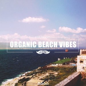  Organic Beach Vibes (2016) 