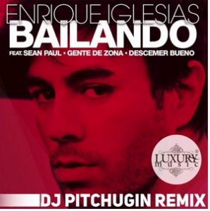  Enrique Iglesias Ft. Sean Paul - Bailando (DJ Pitchugin Remix) (2015) 