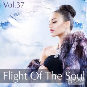  Flight Of The Soul Vol.37 (2015) 